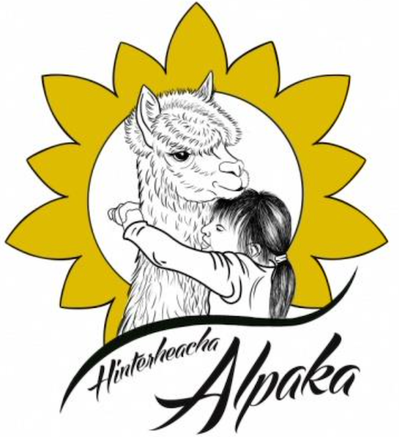 Hinterheacha Alpaka